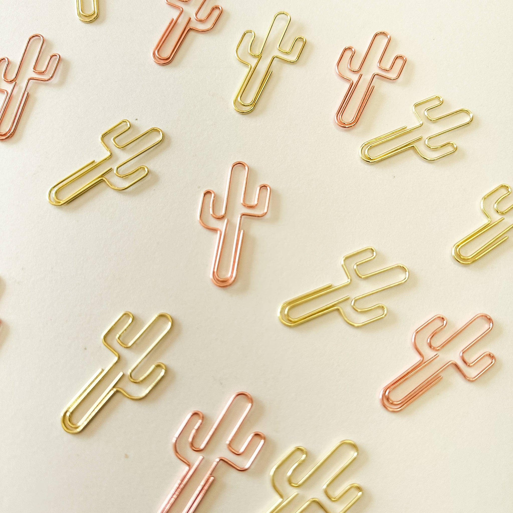 Cactus Paperclips