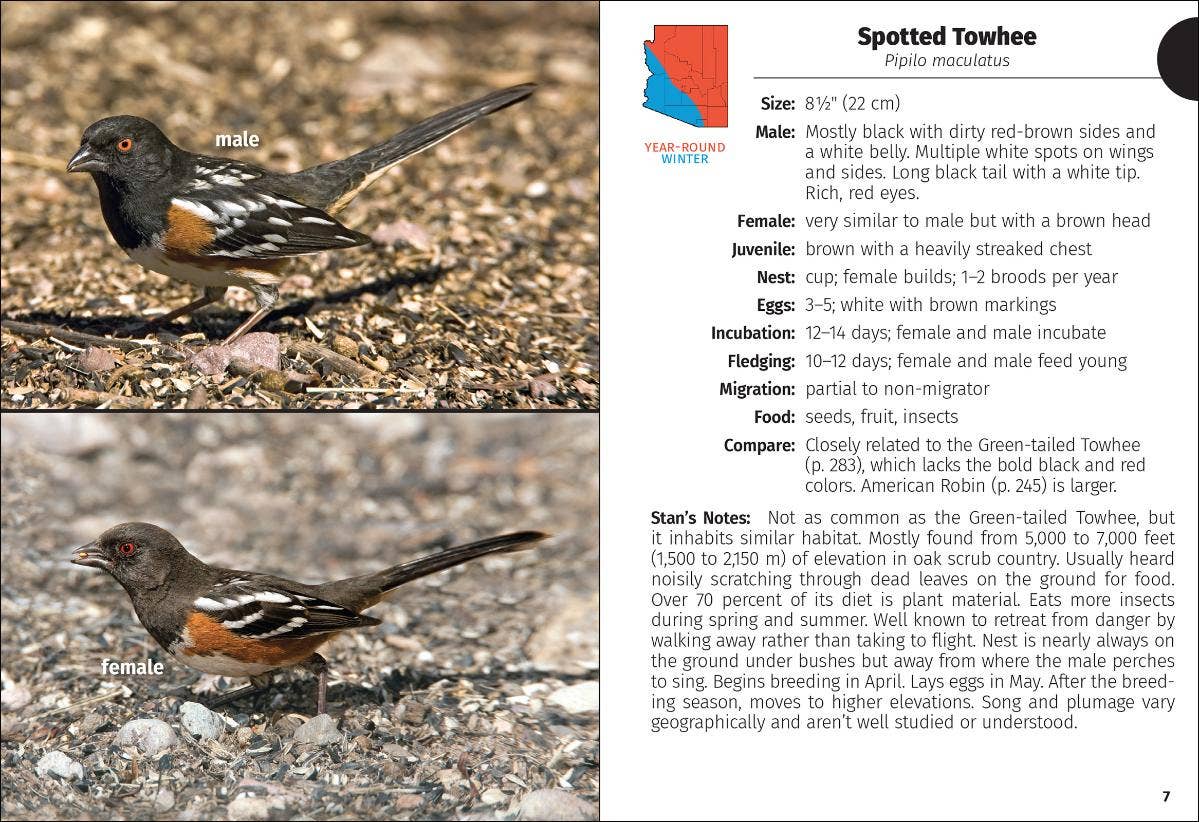 Birds of Arizona Field Guide 2e