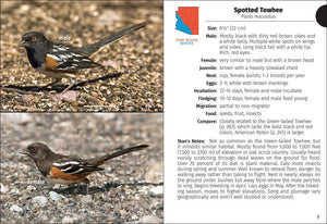 Birds of Arizona Field Guide 2e