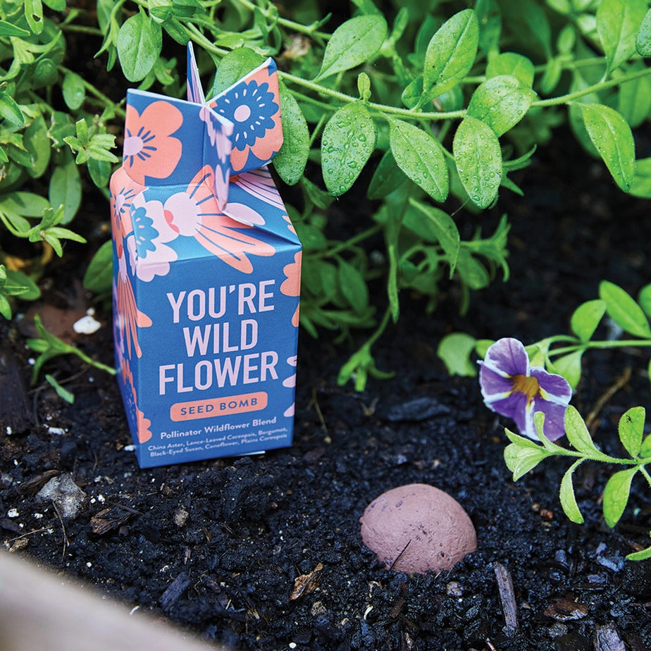 Seed Bomb
