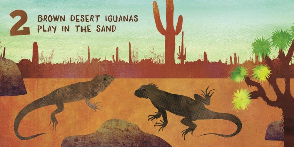 Let’s Count Arizona