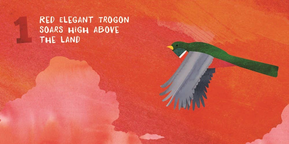 Let’s Count Arizona