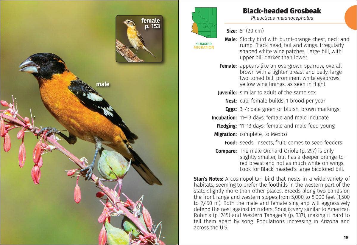 Birds of Arizona Field Guide 2e