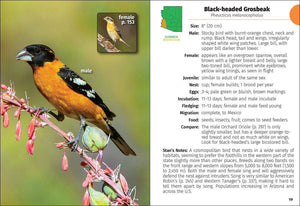 Birds of Arizona Field Guide 2e