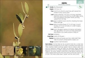 Trees of Arizona Field Guide 2e