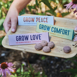 Bright Side Seed Balls