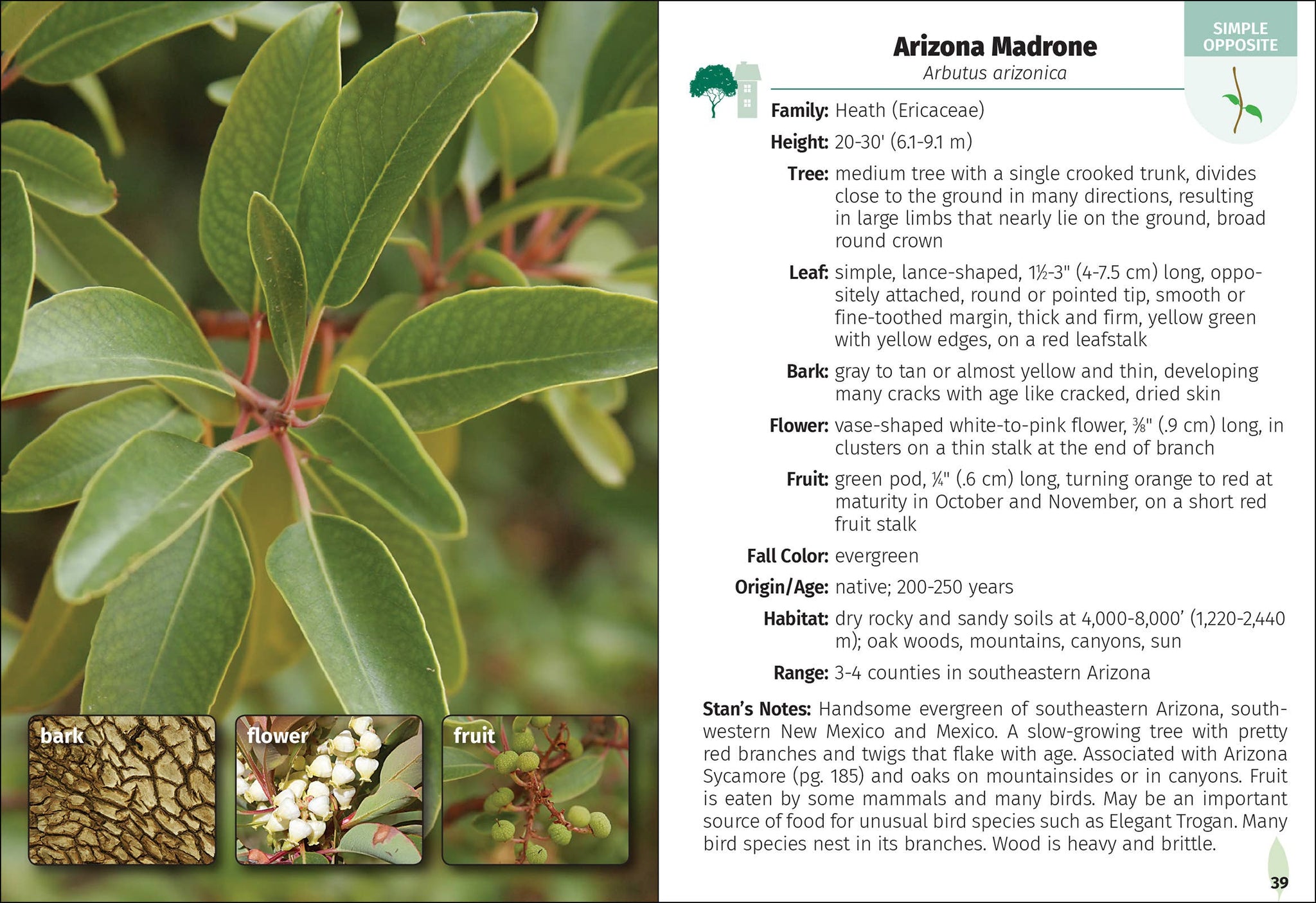 Trees of Arizona Field Guide 2e