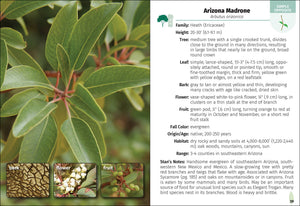 Trees of Arizona Field Guide 2e
