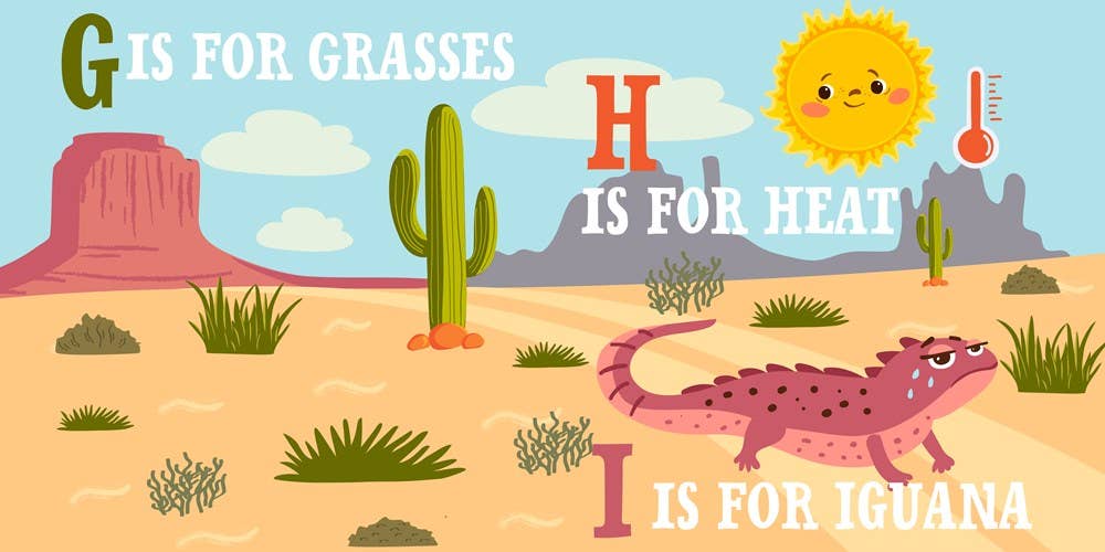 D is for Desert - Kids' Educational Book