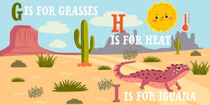 D is for Desert - Kids' Educational Book