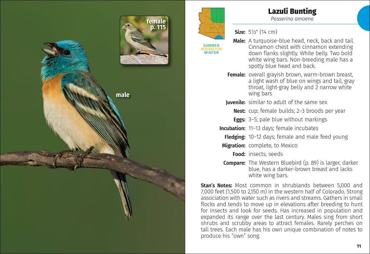 Birds of Arizona Field Guide 2e