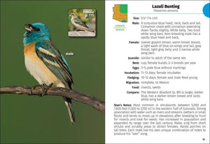 Birds of Arizona Field Guide 2e