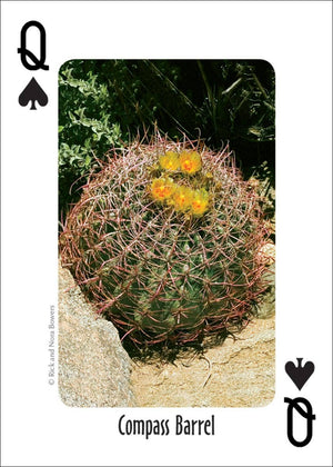 Cactus of Southwest Playing Cards