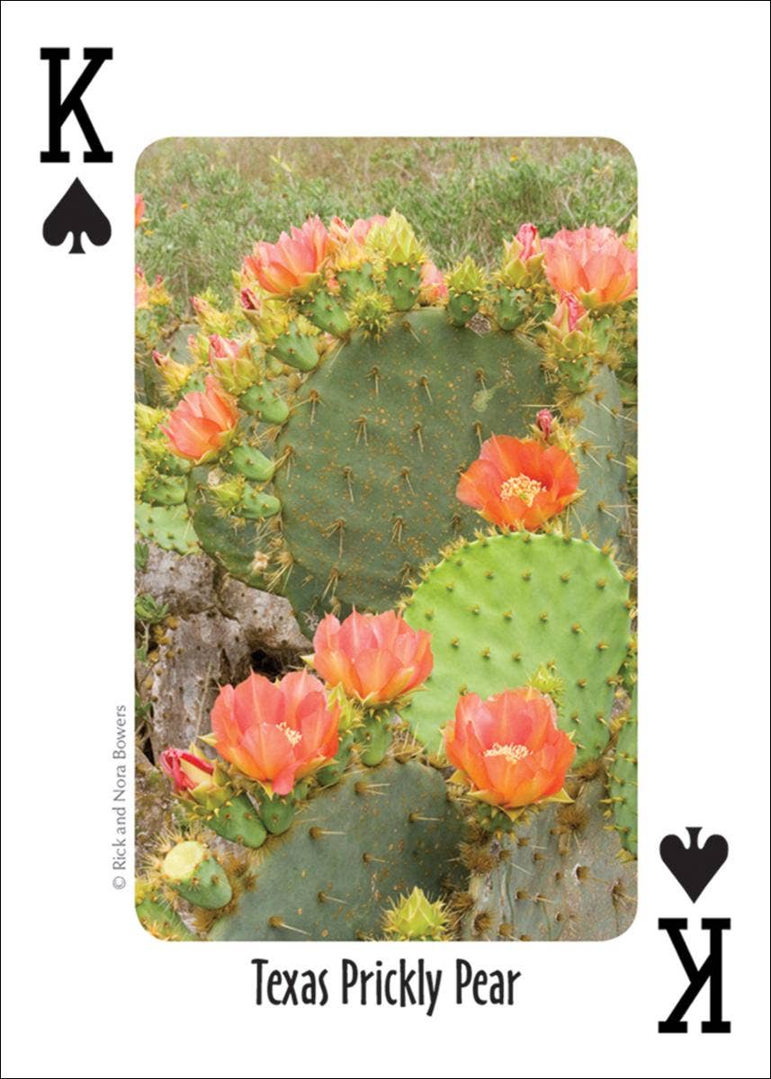 Cactus of Southwest Playing Cards