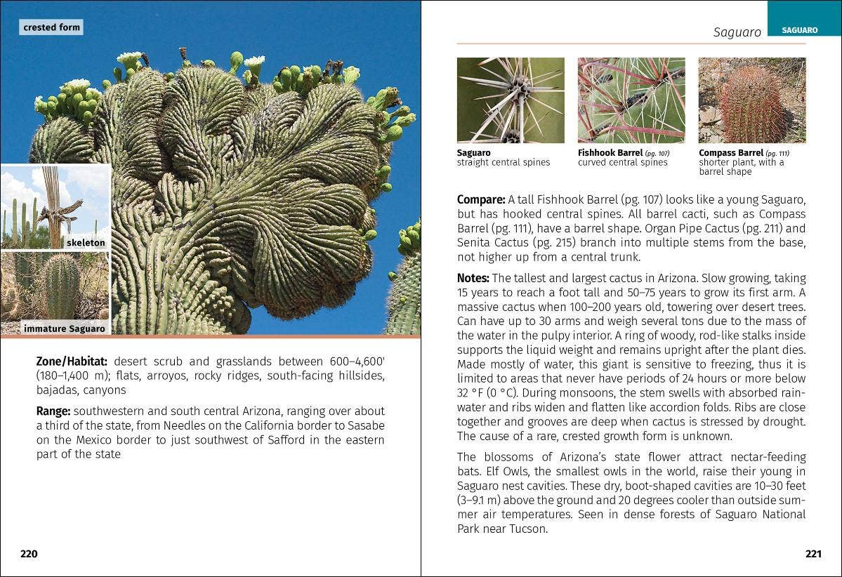 Cacti of Arizona 2e