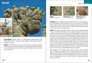 Cacti of Arizona 2e