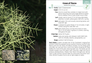 Trees of Arizona Field Guide 2e