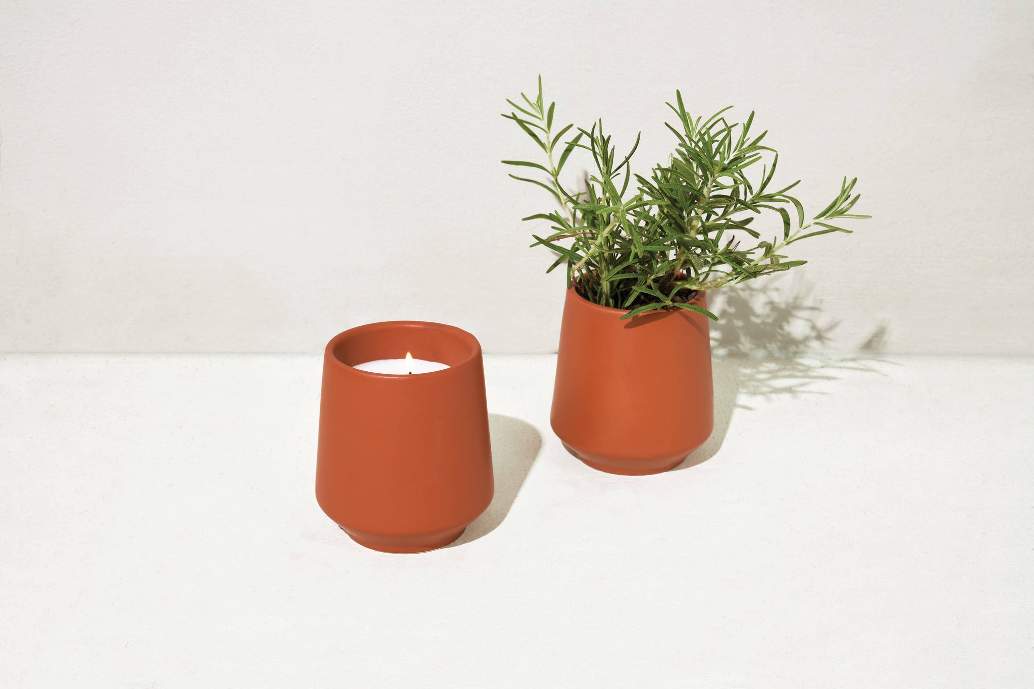 Rooted Candle - Rosemary & Cedar