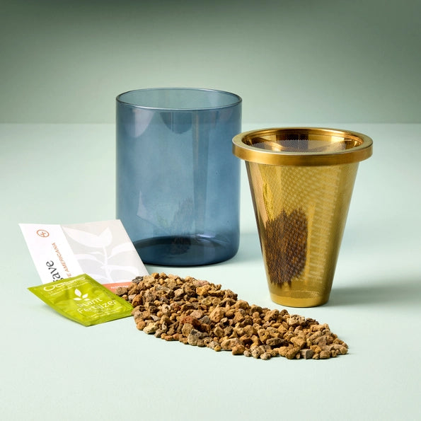 Limited Edition Agave Grow Kit