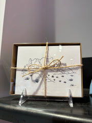 (C) Mtn Card Variety Pack x6