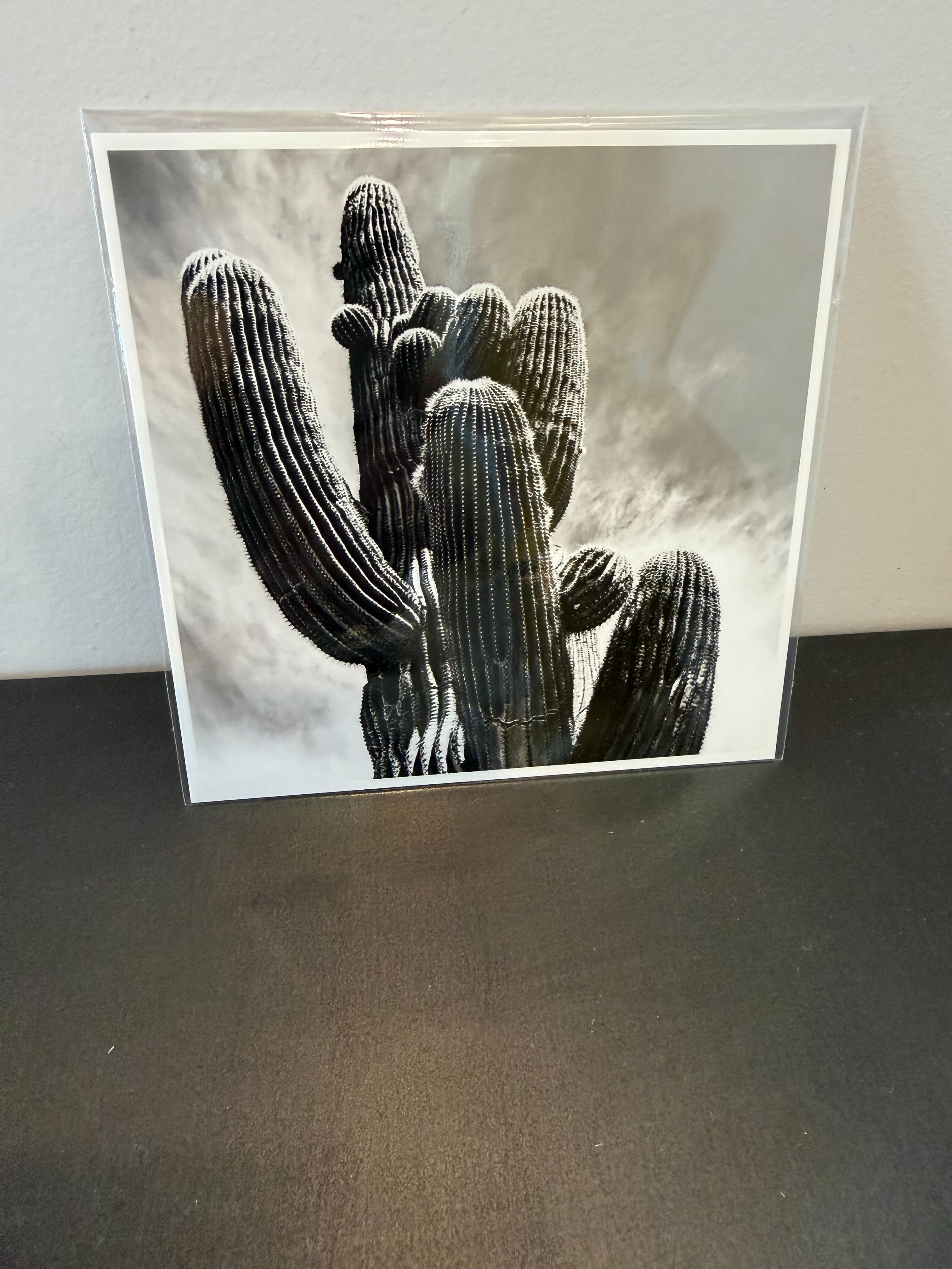 (C) Polaroid - Desert Icon