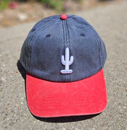 Cactus Dad Hat | May 26' Special Release