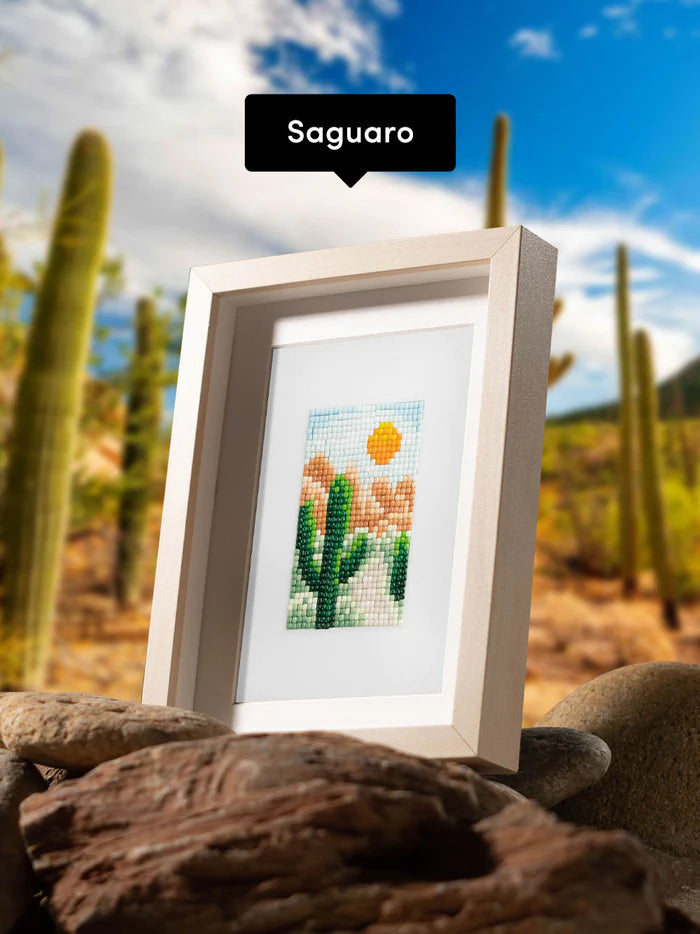 National Parks Edition 2.0 | PaintGem Kit