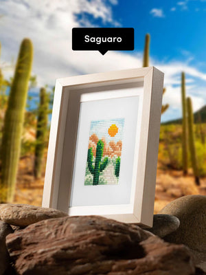 National Parks Edition 2.0 | PaintGem Kit