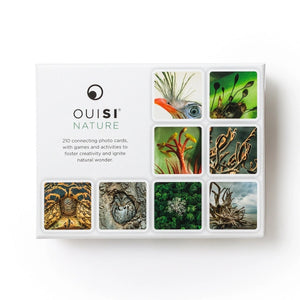 OuiSi Nature: Games of Visual Connection