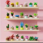 Succulent Building Blocks