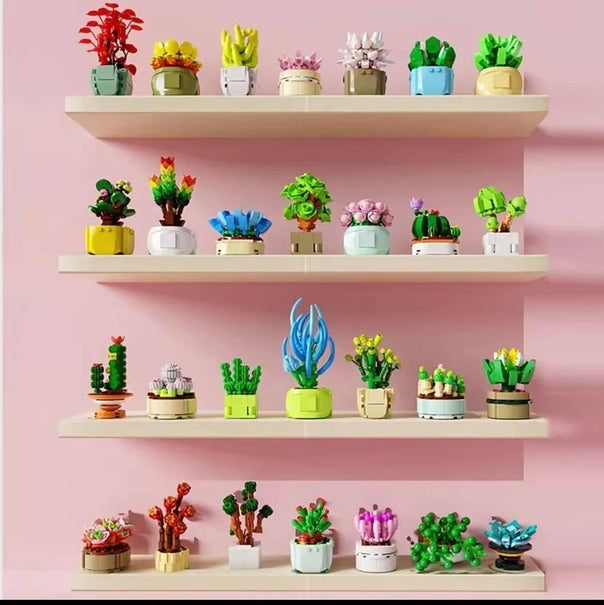Succulent Building Blocks