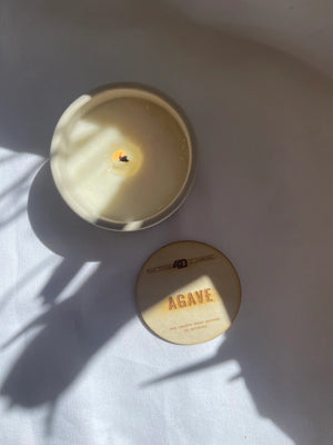 Agave Candle