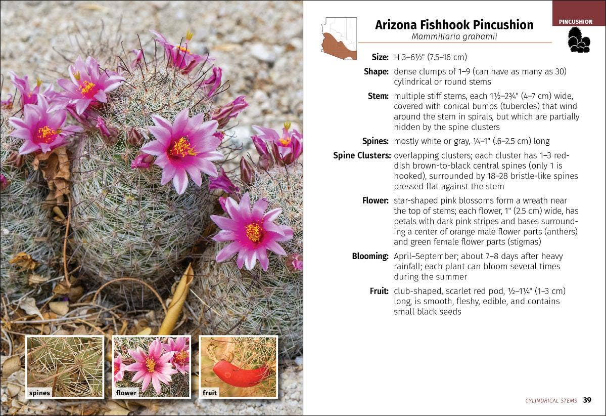 Cacti of Arizona 2e