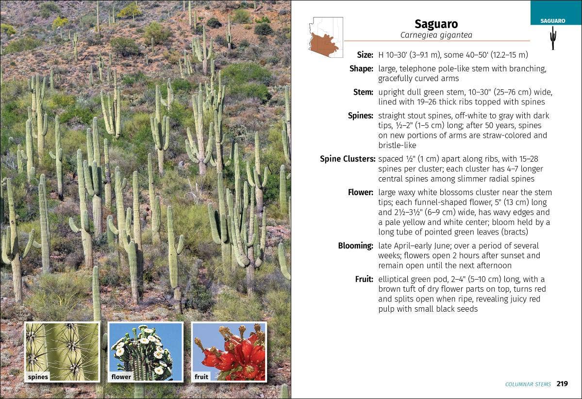 Cacti of Arizona 2e