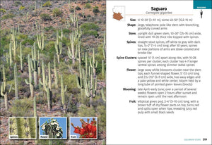 Cacti of Arizona 2e