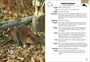 Mammals of Arizona 2e