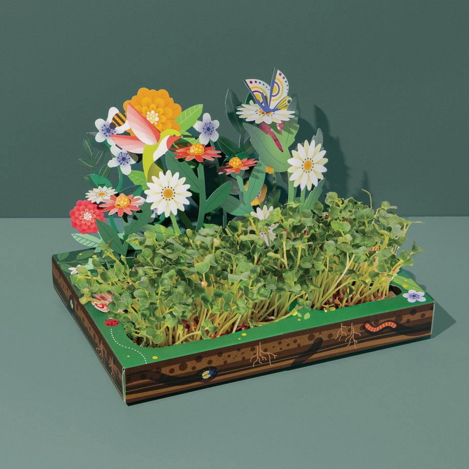 Microgreens Diy Kit Pollinator Habitat
