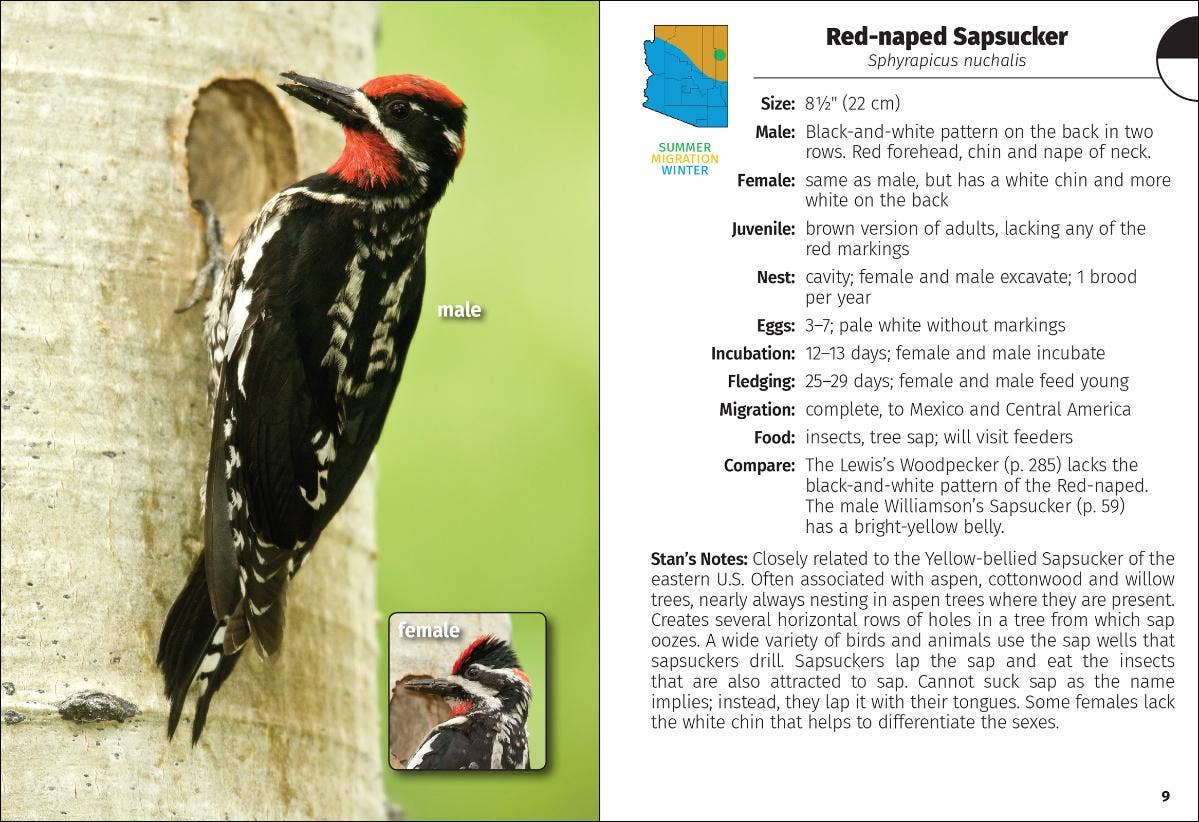 Birds of Arizona Field Guide 2e