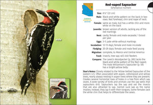 Birds of Arizona Field Guide 2e