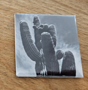 (C) Magnet 2x2 - Saguaro Desert Icon