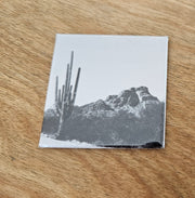 (C) Magnet 2x2 - Large Cactus & Mountain