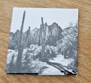 (C) Magnet 2x2 - Saguaro Lake Ranch