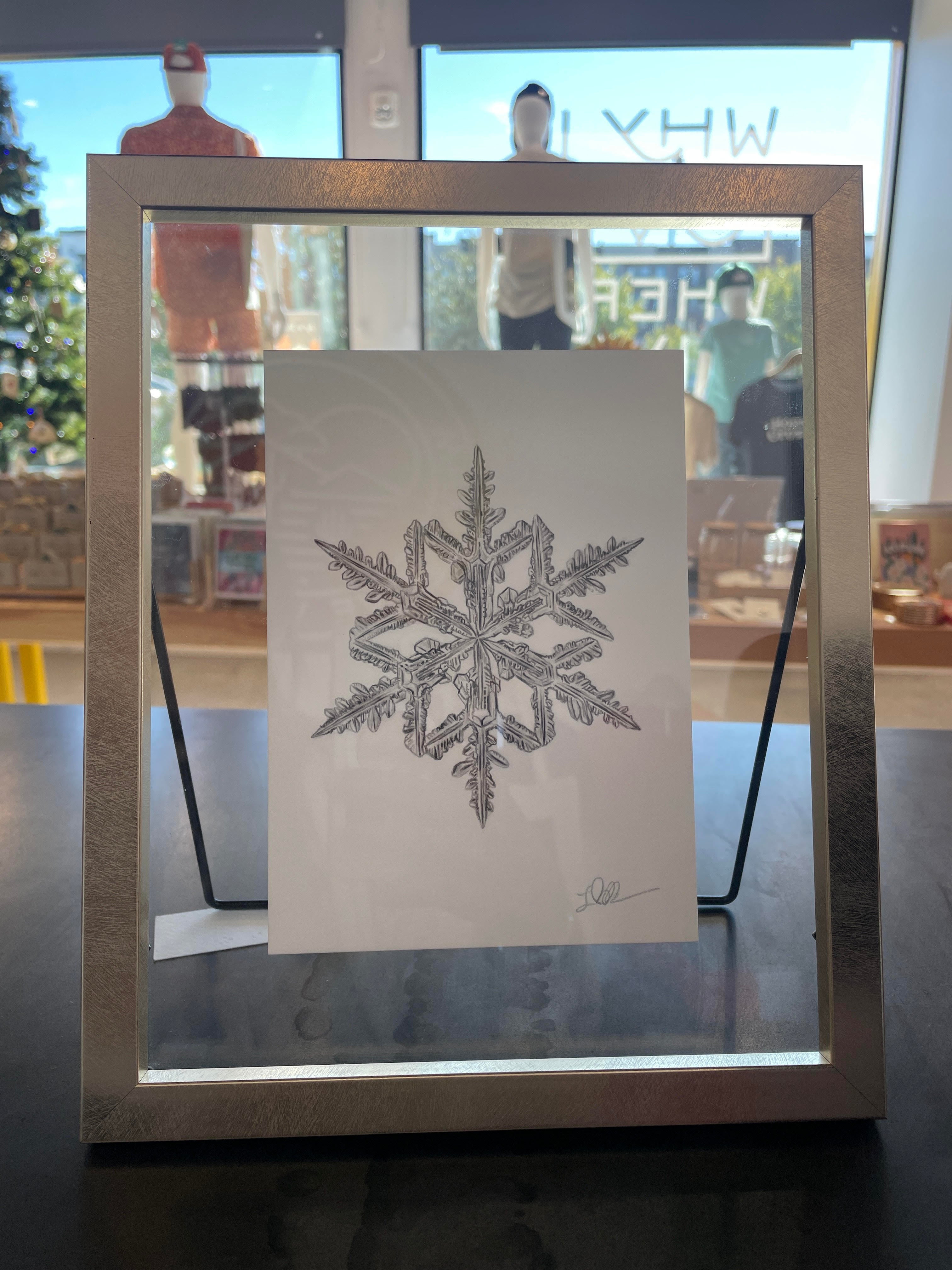 (C) Framed Snowflake Print - Metal