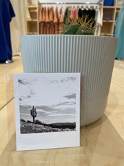 (C) Polaroid - Photo - Standing Tall