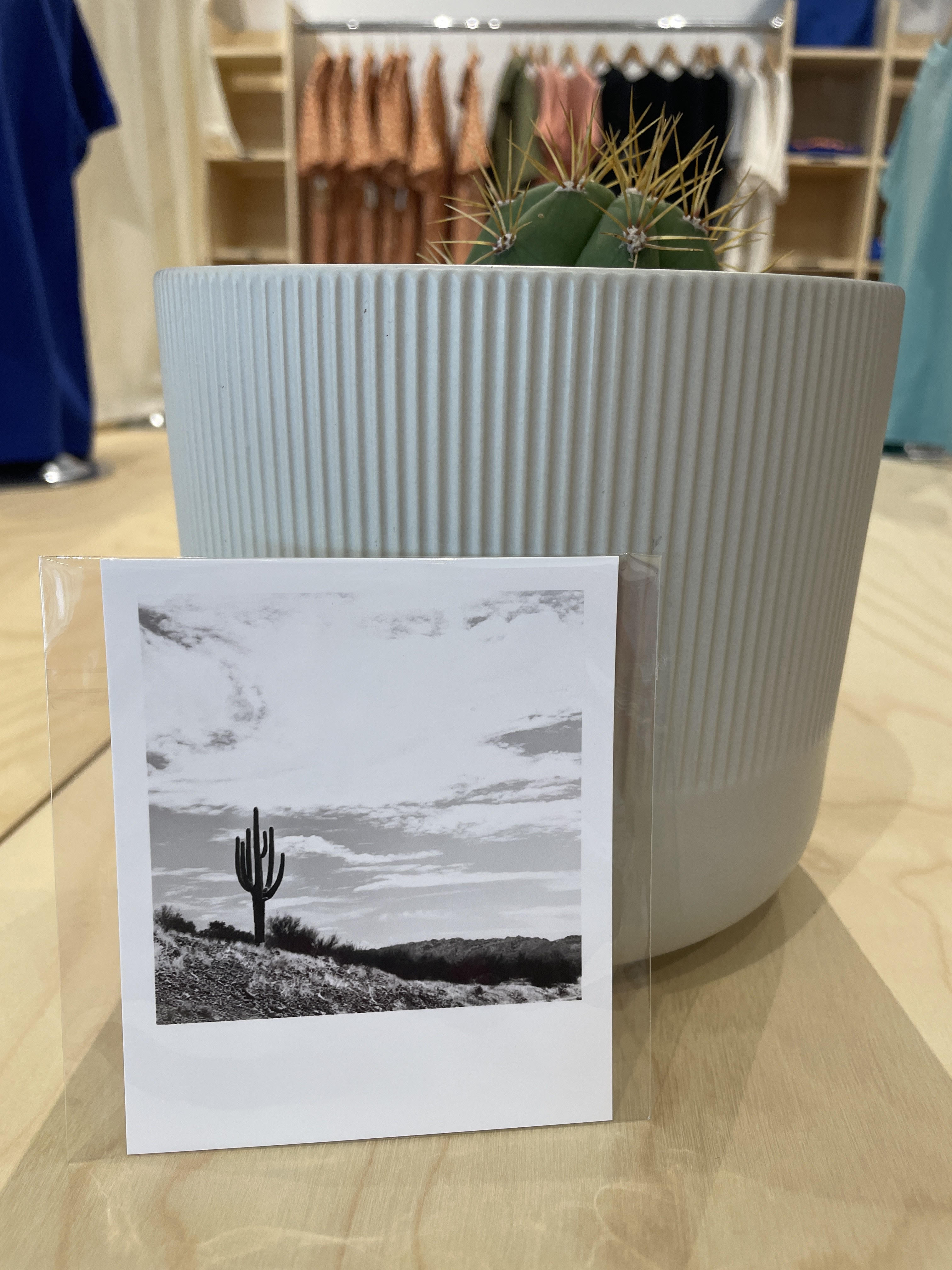 (C) Polaroid - Photo - Standing Tall