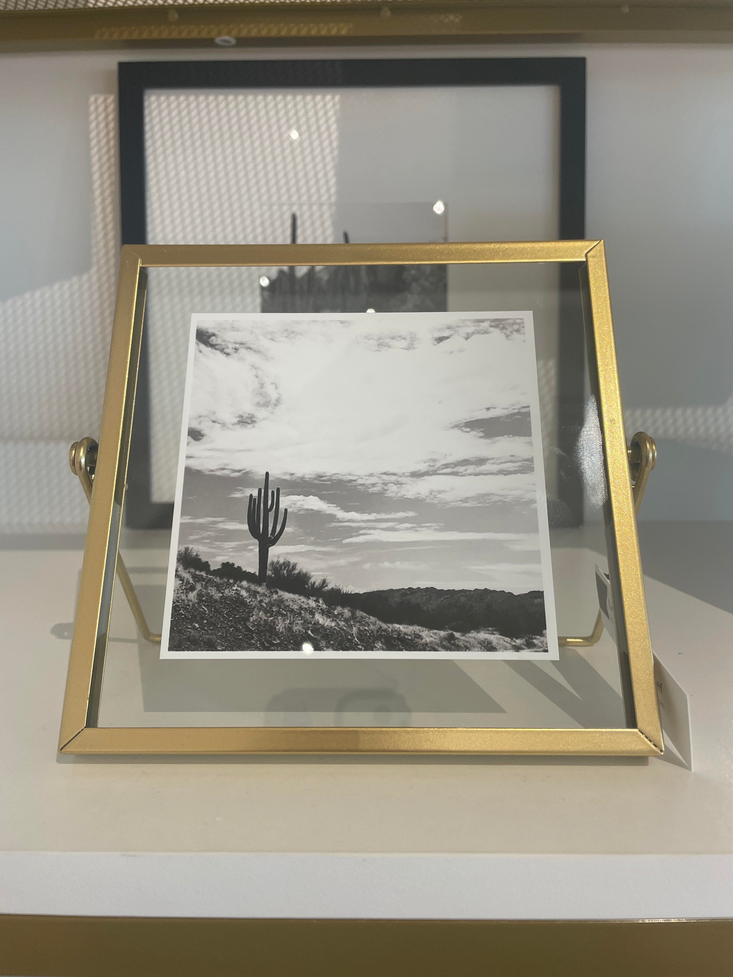 (C) Framed Print - Metal