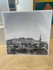 (C) 4x4 - Four Peaks