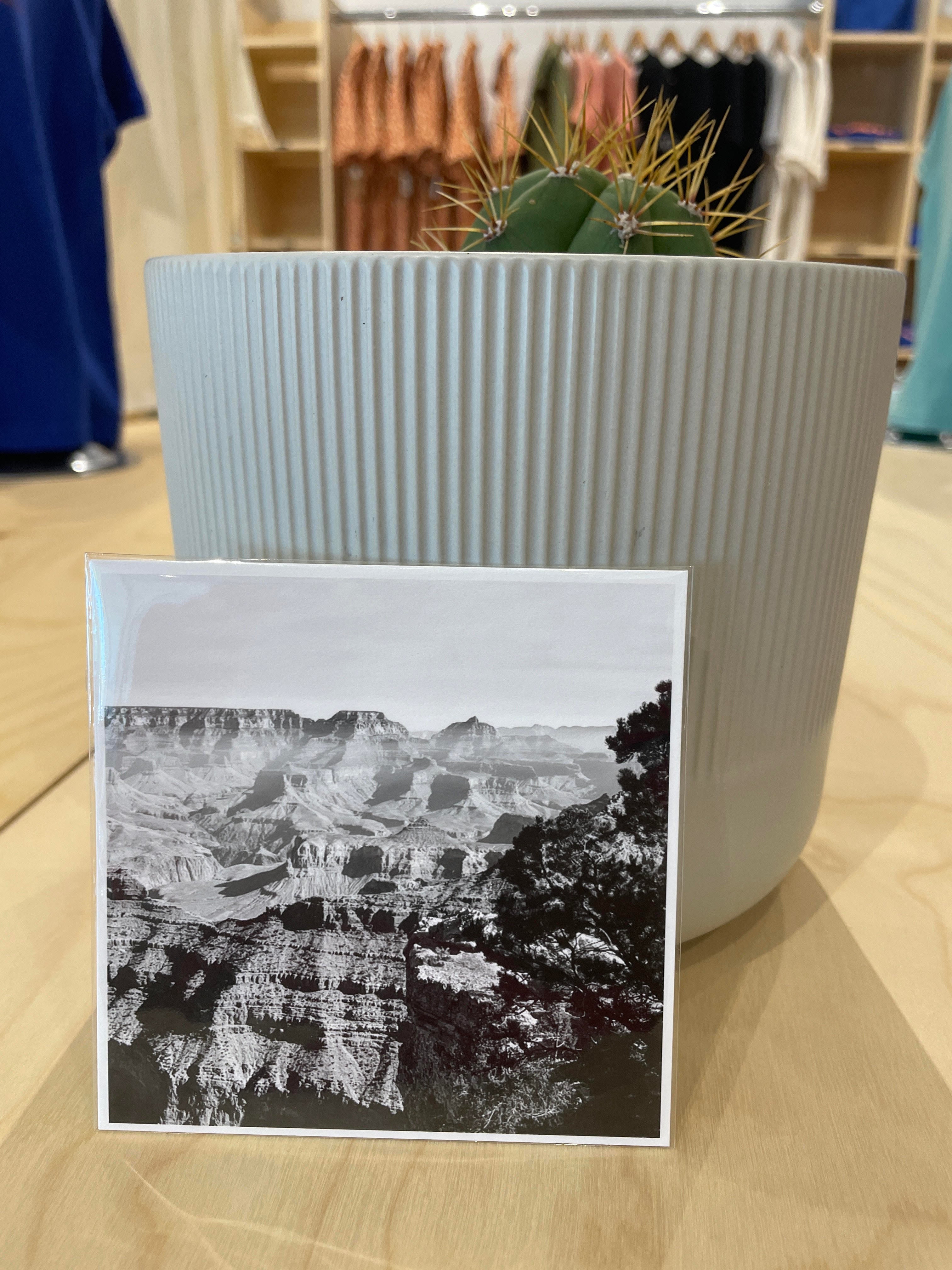 (C) 4x4 - Grand Canyon