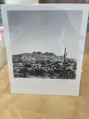 (C) Polaroid - Four Peaks