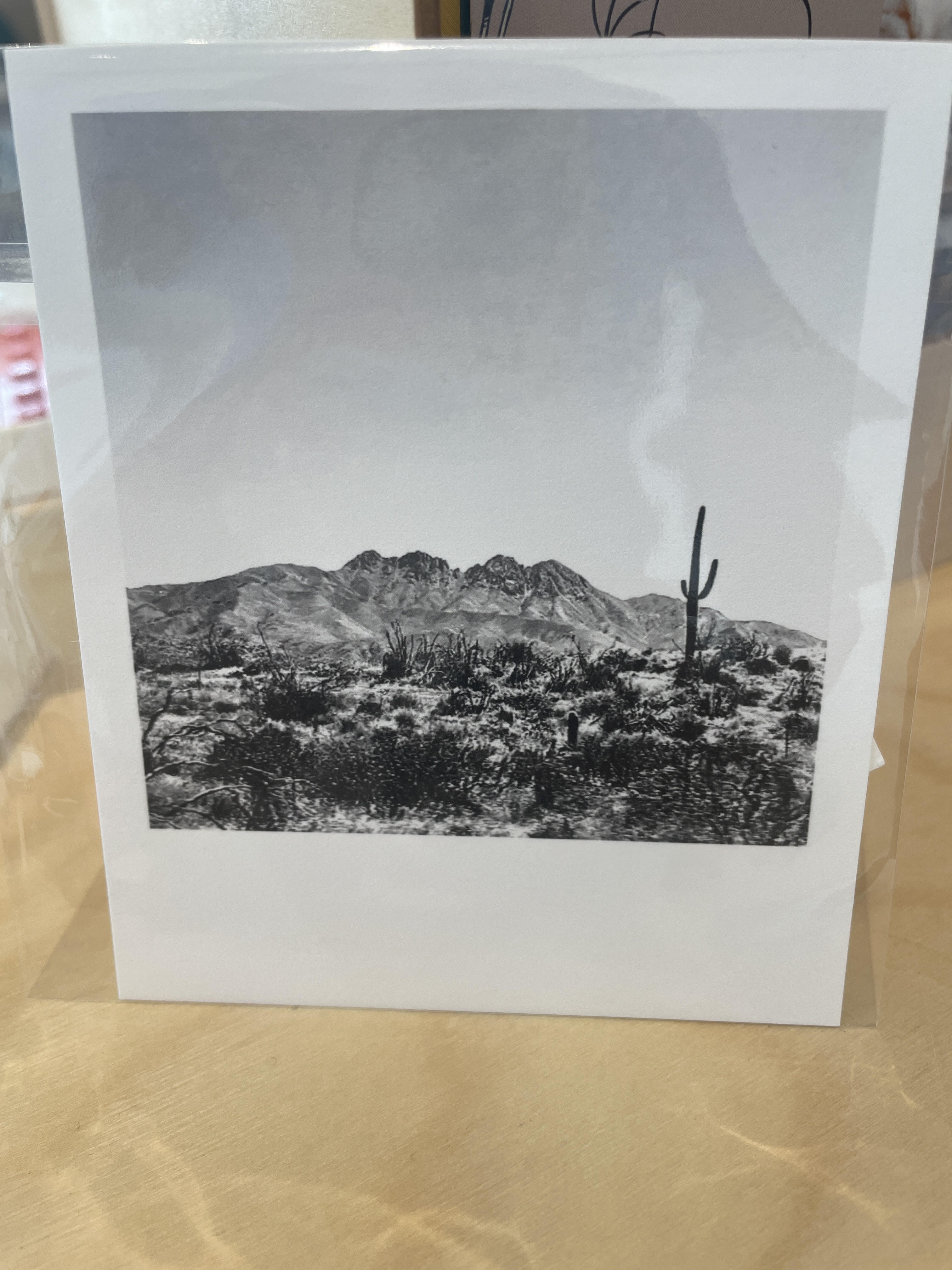 (C) Polaroid - Four Peaks